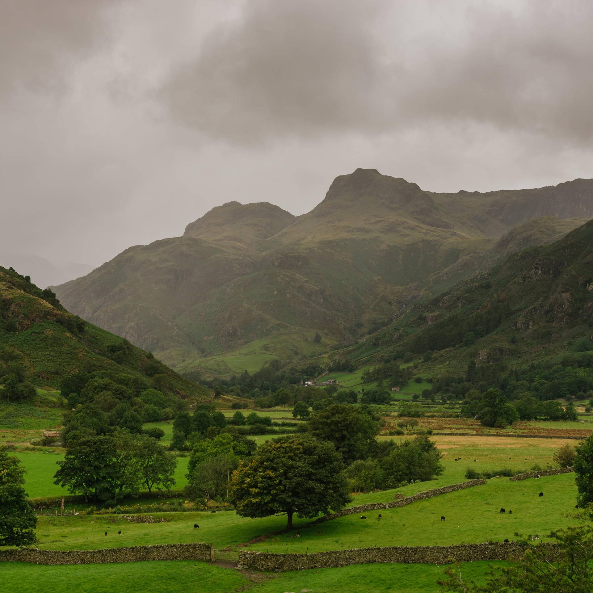 Mountain Goat | Heart of the Lakes Tour | Lake Distrcit Cottages