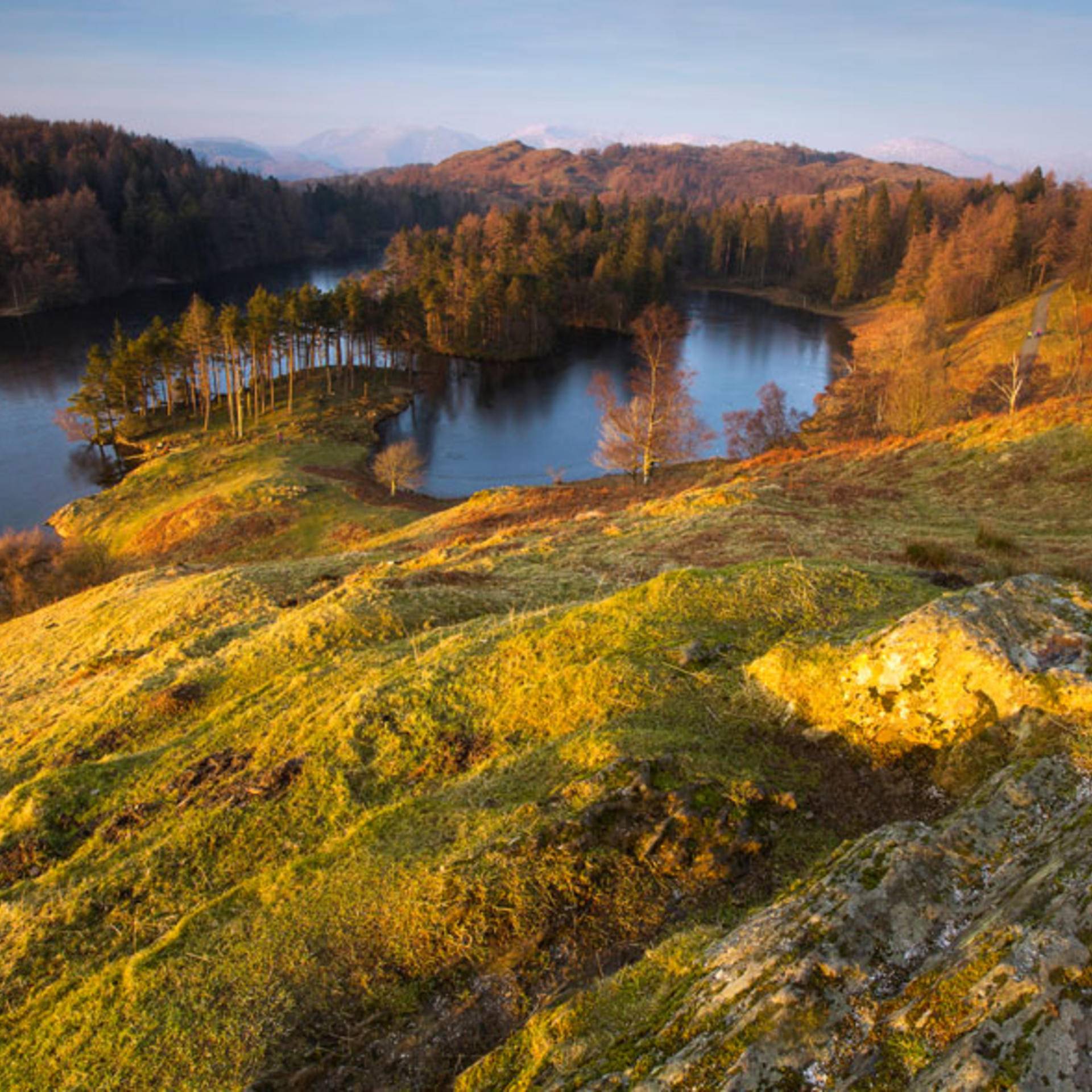 Mountain Goat | Heart of the Lakes Tour | Lake Distrcit Cottages