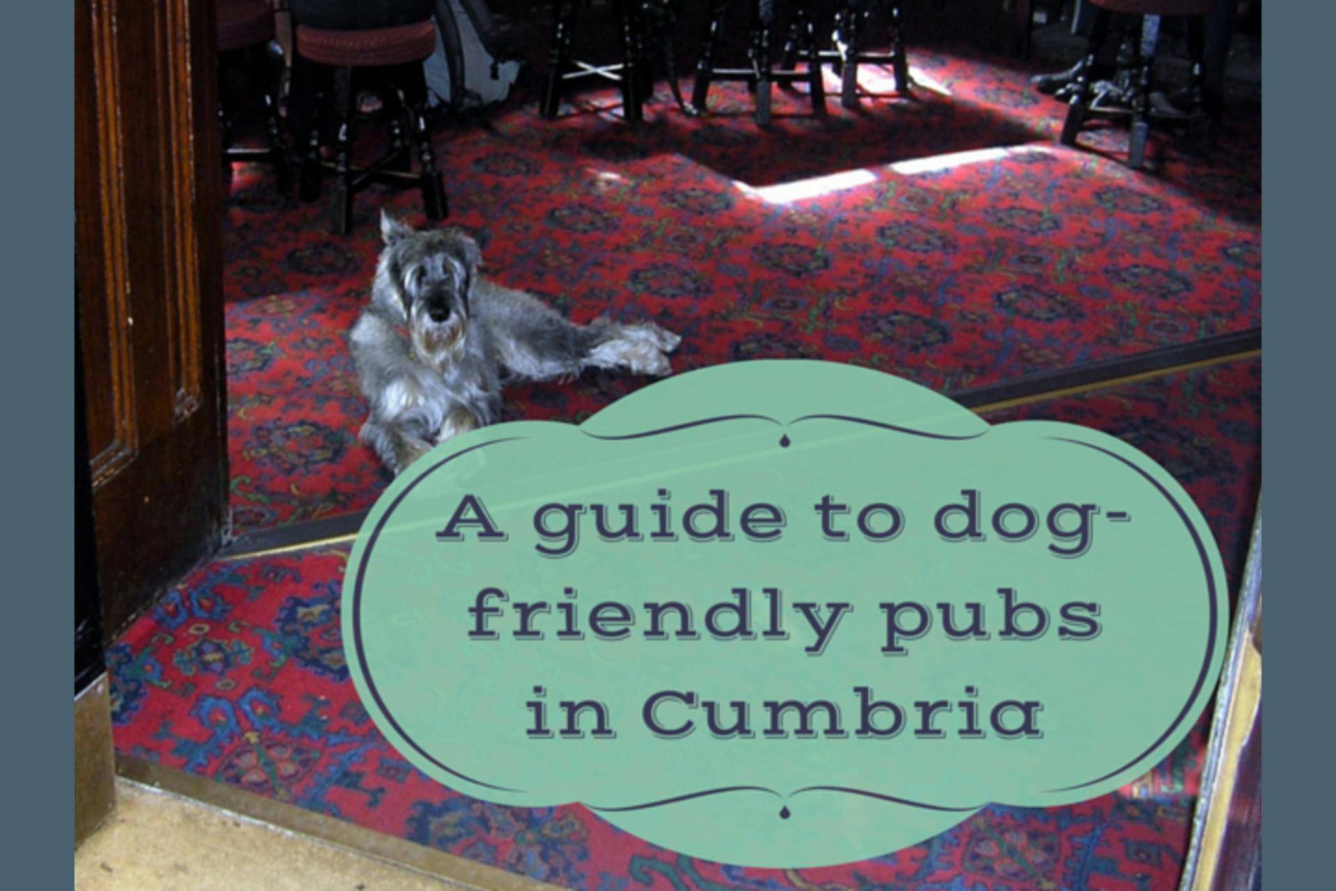 Dog-friendly pubs in Cumbria | Heart of the Lakes Guide