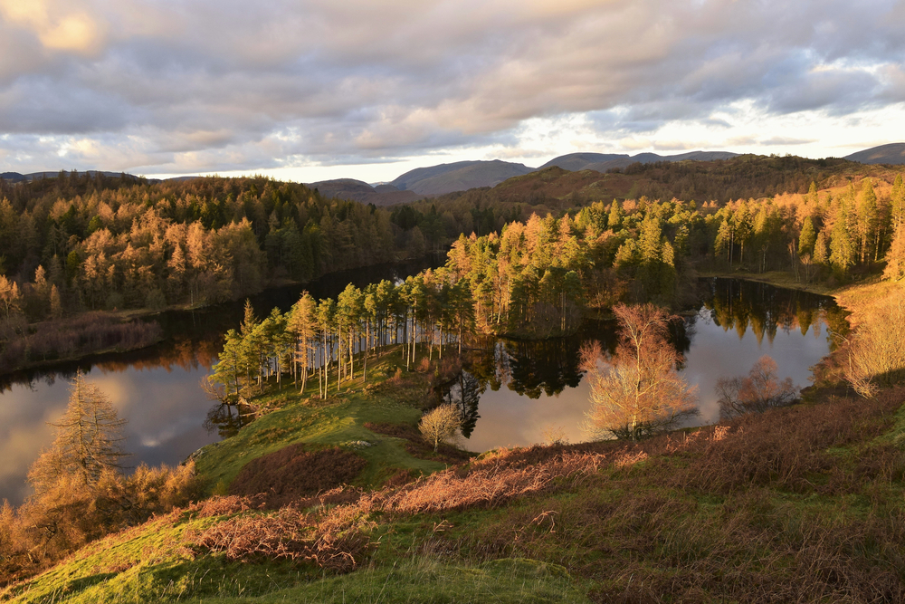 Sunset,At,Tarn,Hows,In,The,Lake,District